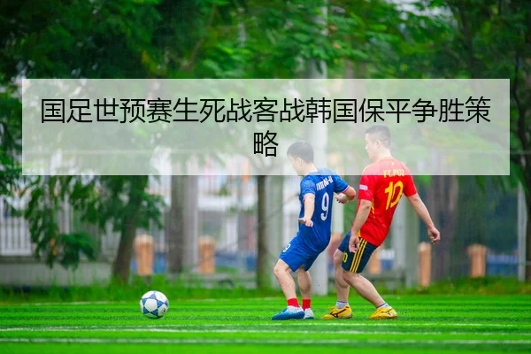 guo-zu-shi-yu-sai-sheng-si-zhan-ke-zhan-han-guo-bao-ping-zheng-sheng-ce-lve-3-311.jpg