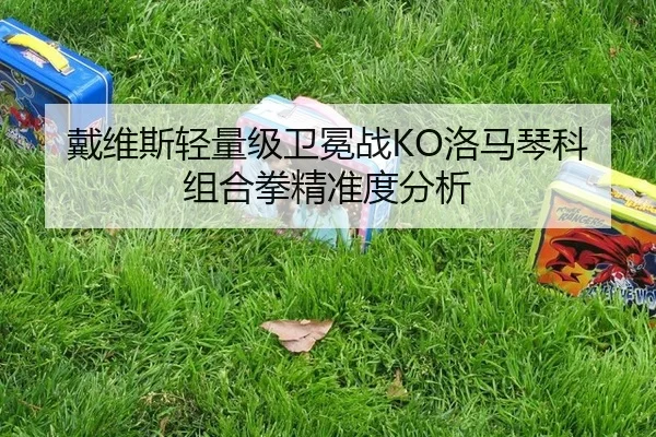 戴维斯轻量级卫冕战KO洛马琴科组合拳精准度分析